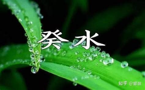 癸水生甲木|详解十天干癸水 十天干配对之癸水